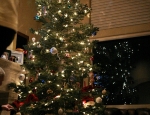2010 12 20_3903