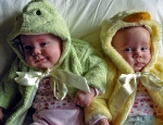 Frog and Duck