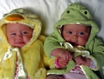 Frog and Duck 2
