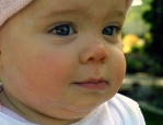 Cassi