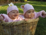 Basket Babies 