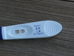 Pregnancy Test - July 5, 2003