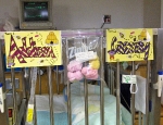 Twins Hospital Cribs