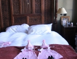 IMG_4774_edited-1