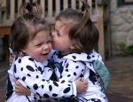 Dalmation Kiss