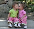 Curb Kissing